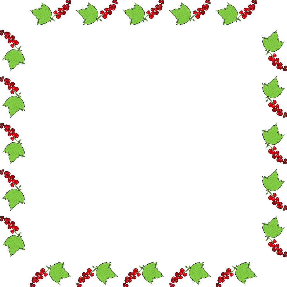 fyrkant ram med röd vinbär och dess blad på vit bakgrund. vektor bild.