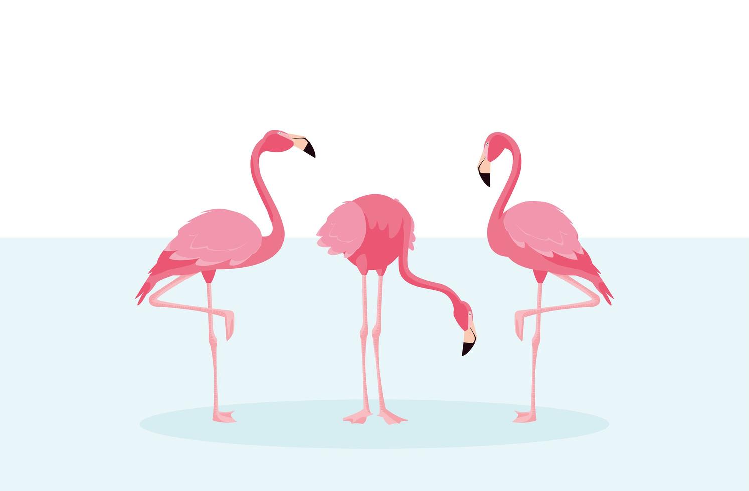 schöne Flamingovögel scharen sich stehend vektor