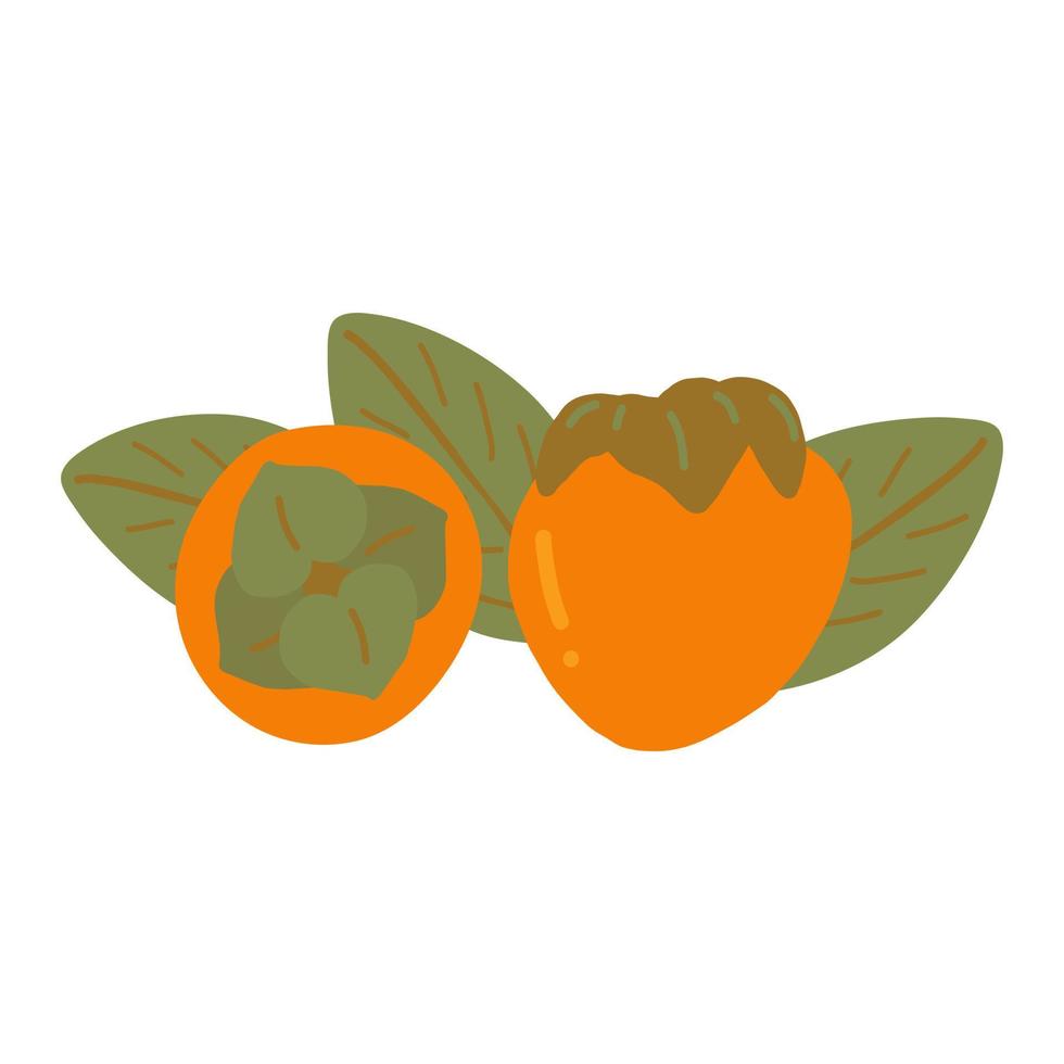 persimon frukt och löv hand ritade. , minimalism. isolerat, sammansättning klistermärke märka vektor