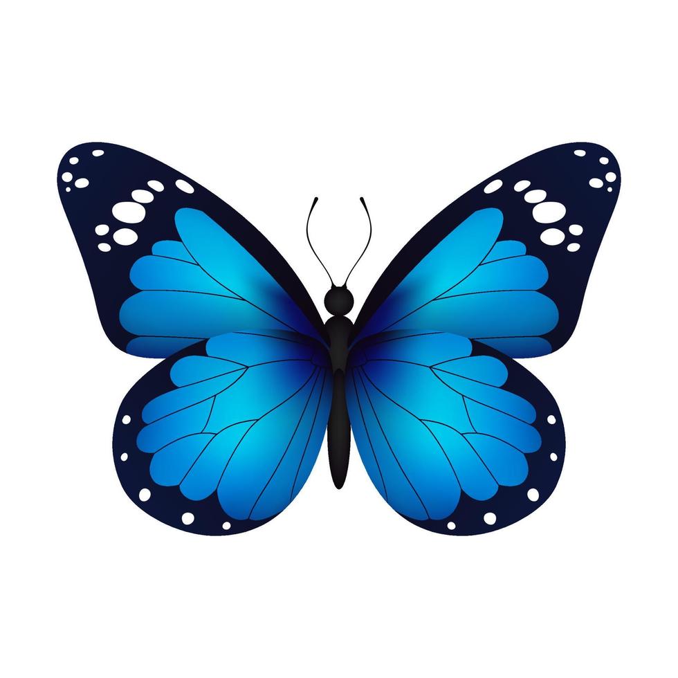 blå realistisk flygande monark fjäril på en vit bakgrund. vektor illustration. dekorativ skriva ut design. färgrik fe- vingar.