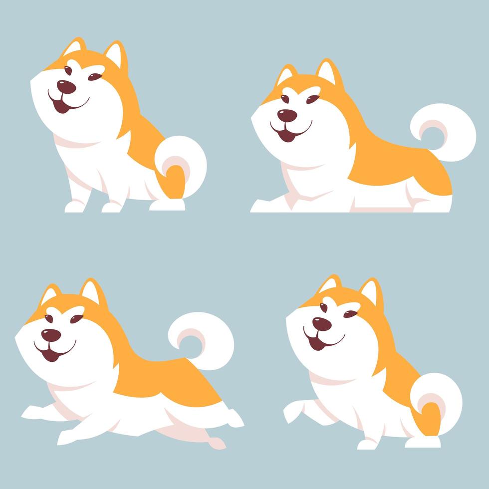 Akita Inu Hund in verschiedenen Posen vektor