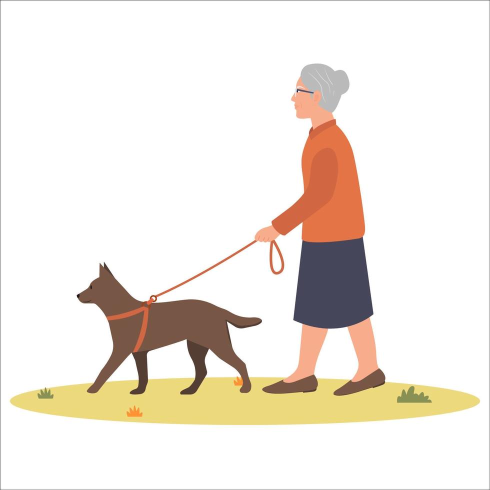 gammal kvinna, äldre person gående med hund. hund ägare. sjukvård terapi, andas färsk luft. vektor illustration