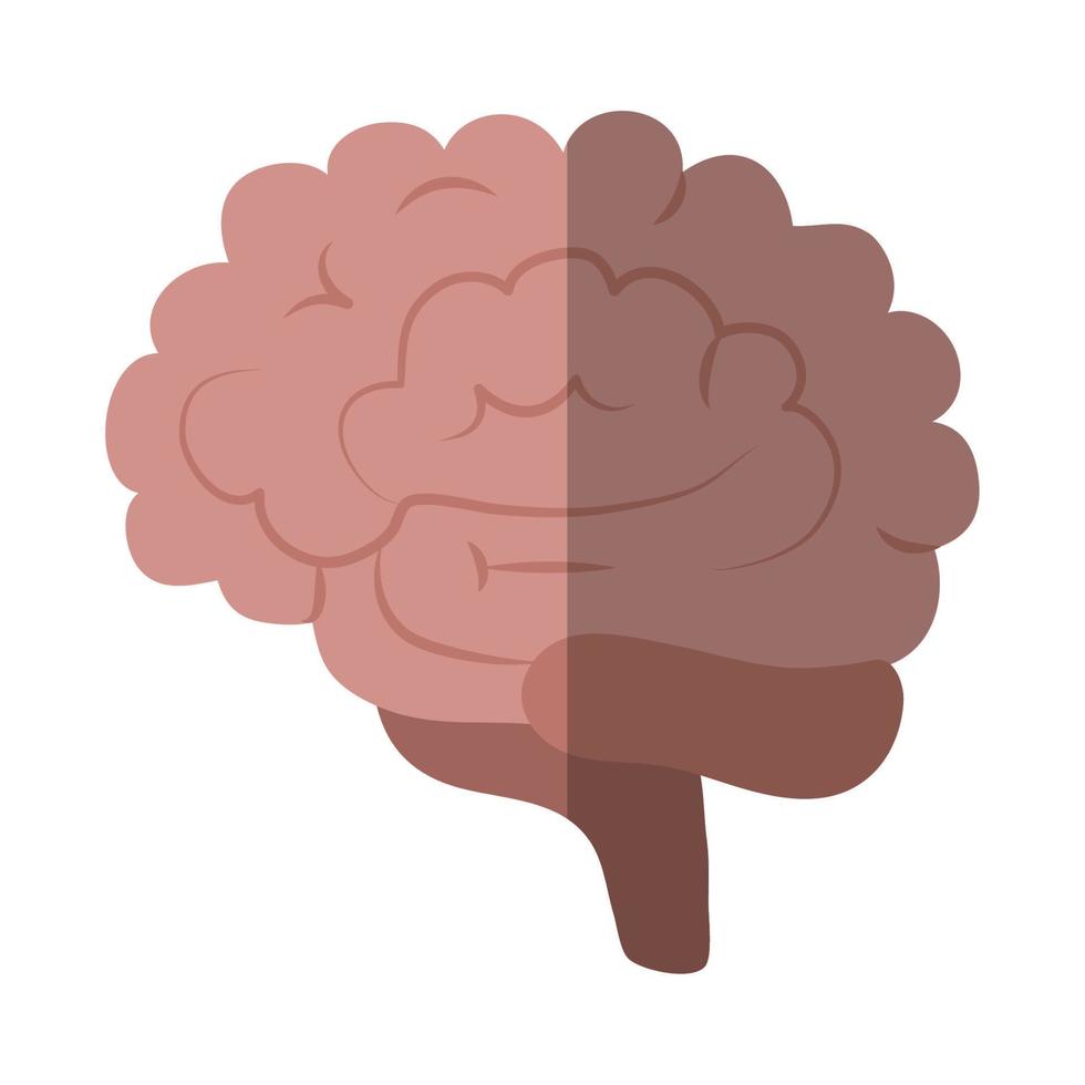 hjärna mänsklig organ kreativitet platt ikon med skugga vektor
