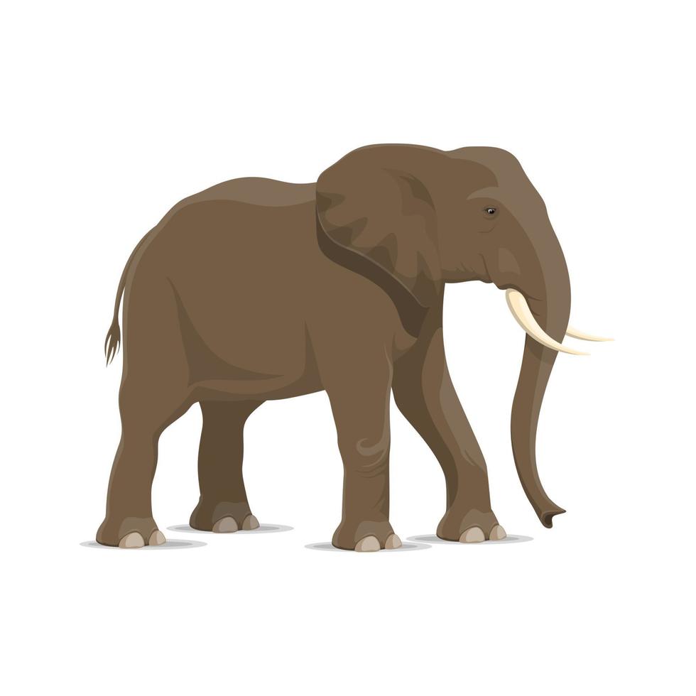 elefant djur- ikon av afrikansk savann däggdjur vektor
