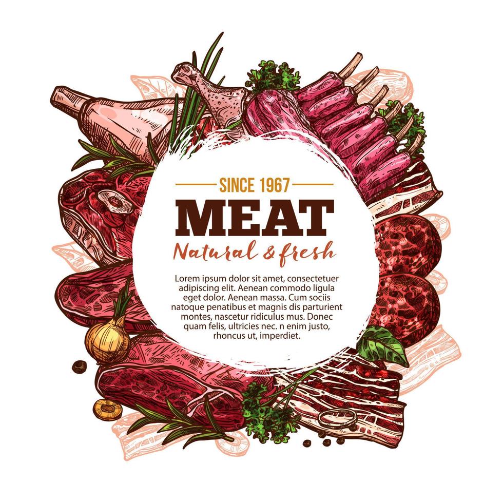 kött skiss affisch med nötkött, fläsk och kyckling vektor
