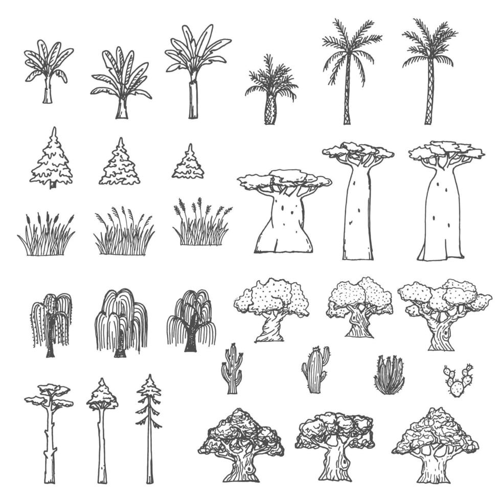 handflatan, baobab och kaktus, vide, ek träd skisser vektor