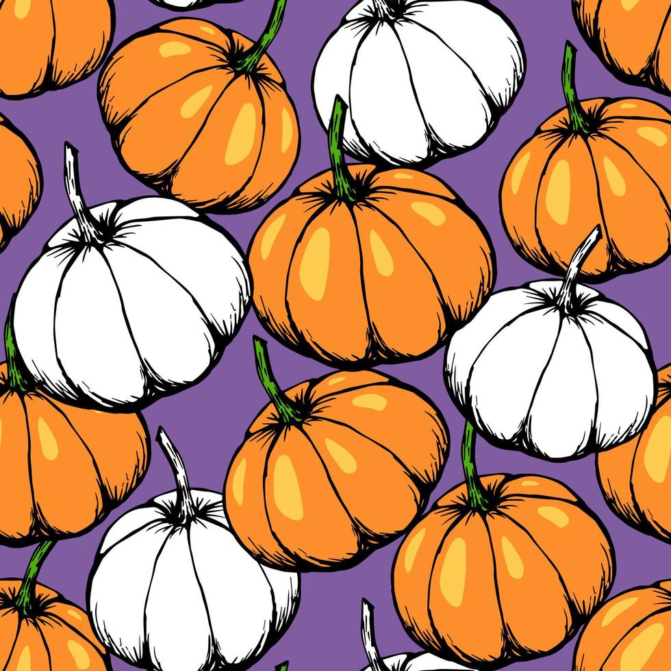 weiße und orangefarbene Kürbisse auf violettem Hintergrund. handgezeichneter Vektor nahtloses Muster. für Stoffdrucke, Küchentextilien, Tischdecken, saisonale Gemüseernte. festliche Herbstdeko.