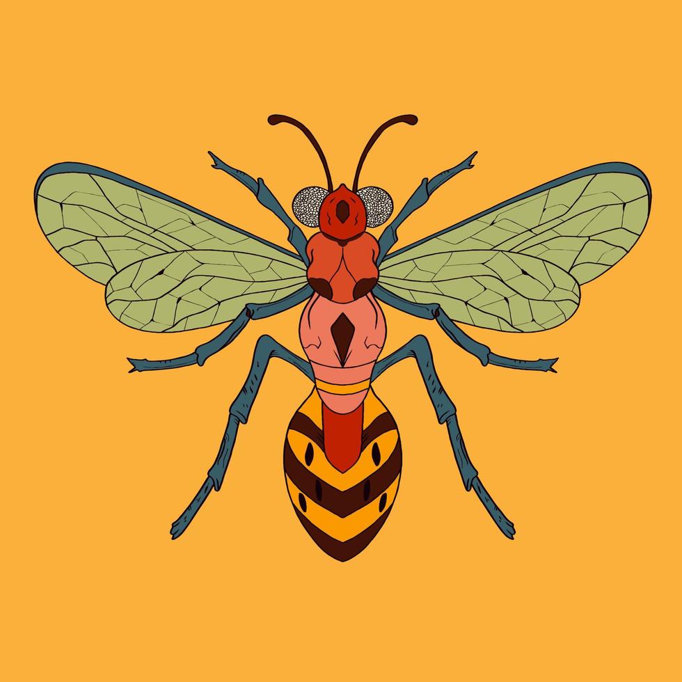 Insekten handgezeichnete lustige mehrfarbige Zeichnung. moderne Stock-Vektor-Illustration vektor