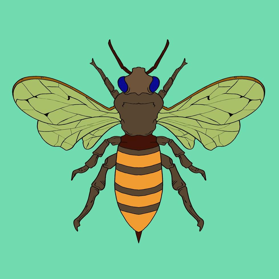 Insekten handgezeichnete lustige mehrfarbige Zeichnung. moderne Stock-Vektor-Illustration vektor