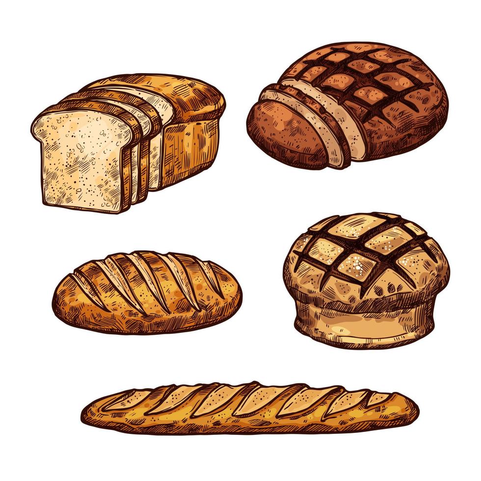vektor skiss bröd Färg ikoner av bageri affär