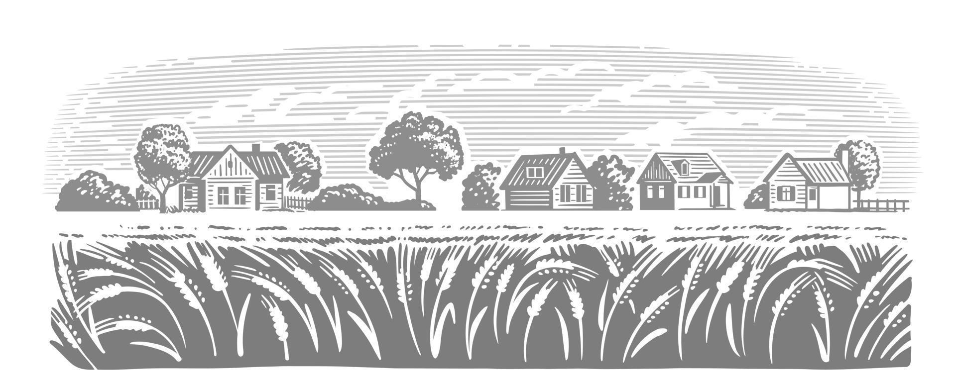 Landschaft des biologischen Anbaus von Weizen. Bauernhof und Felder mit Ernte vektor