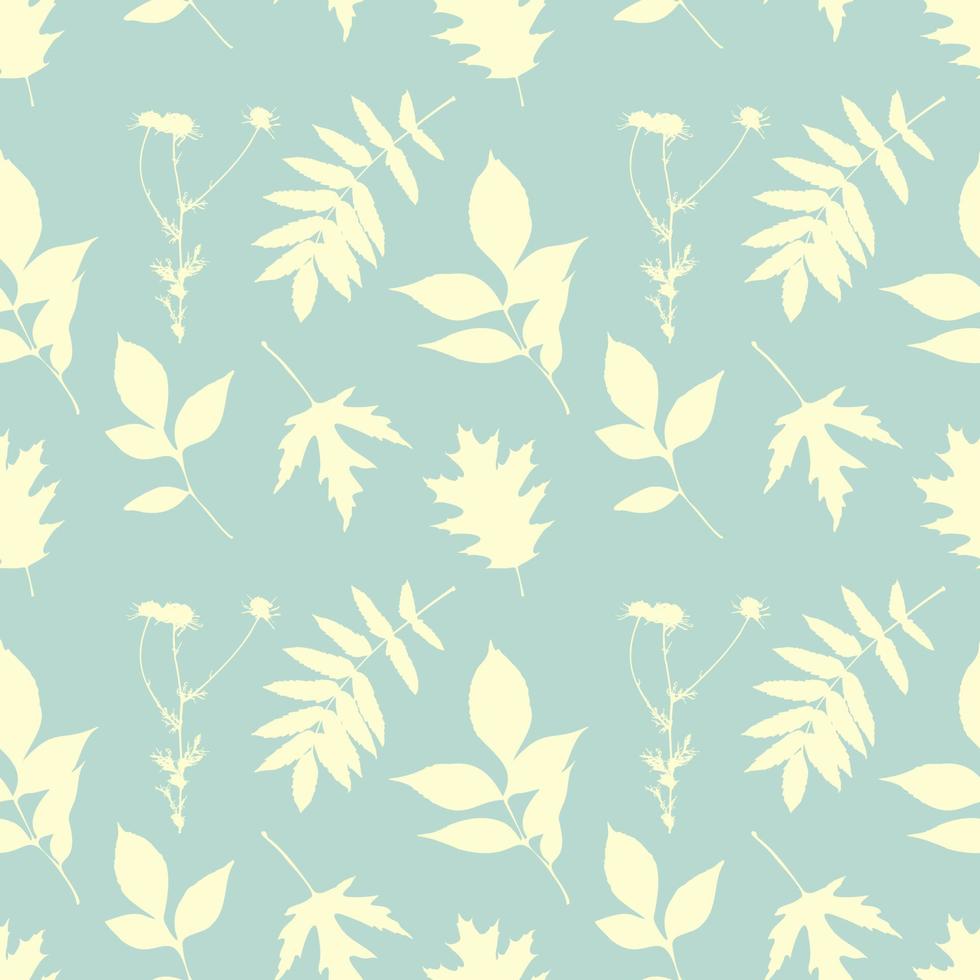 Kamille und Blätter Silhouette, Pastellfarbe, Muster. Stempel, Impressum, Herbarium, Jahrgang. vektor