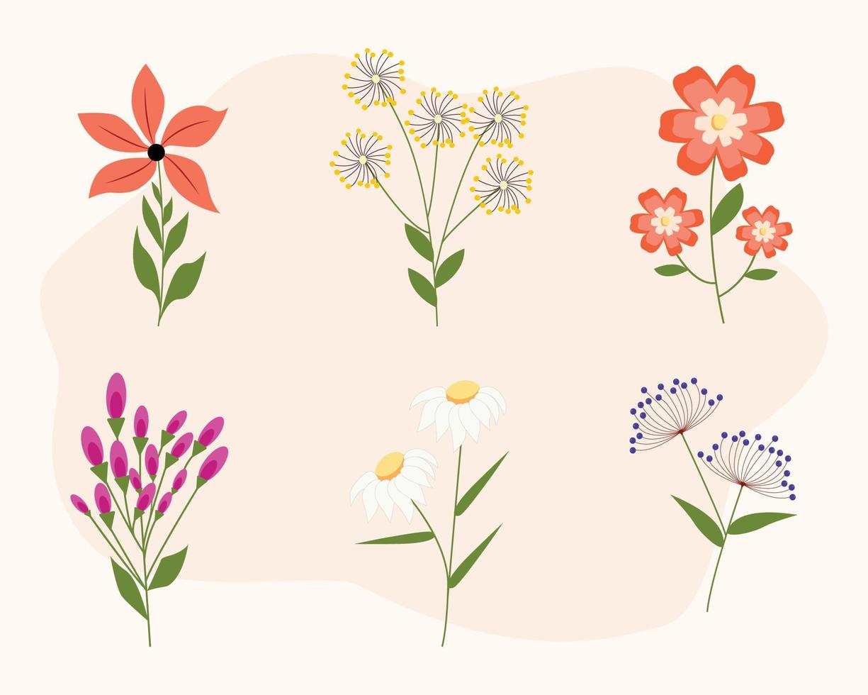 Illustrationen von Blumensets. vektor