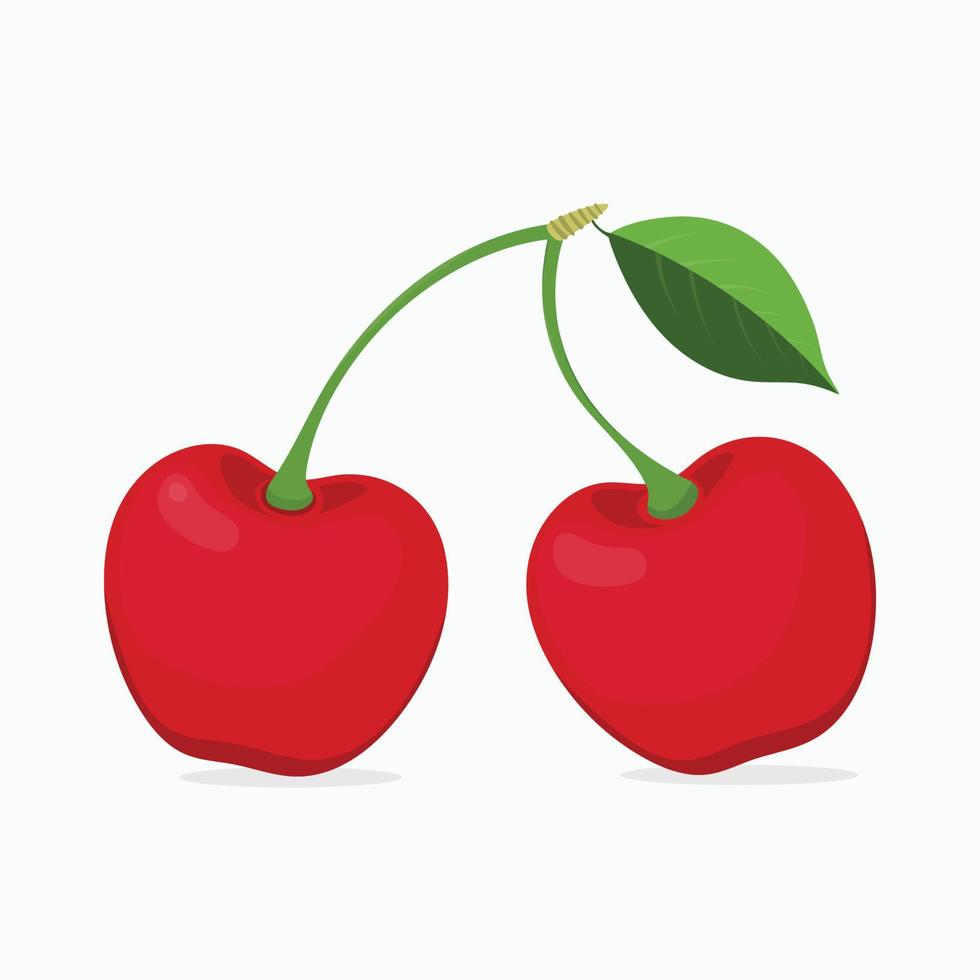 röd körsbär med blad vektor illustration färsk, friska och ljuv