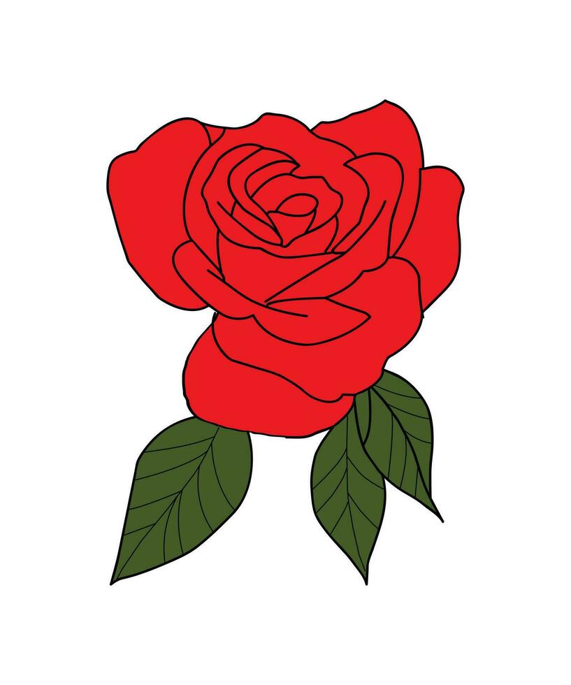 rote Rose Vektor Illustration Vektor. Blumenvektor