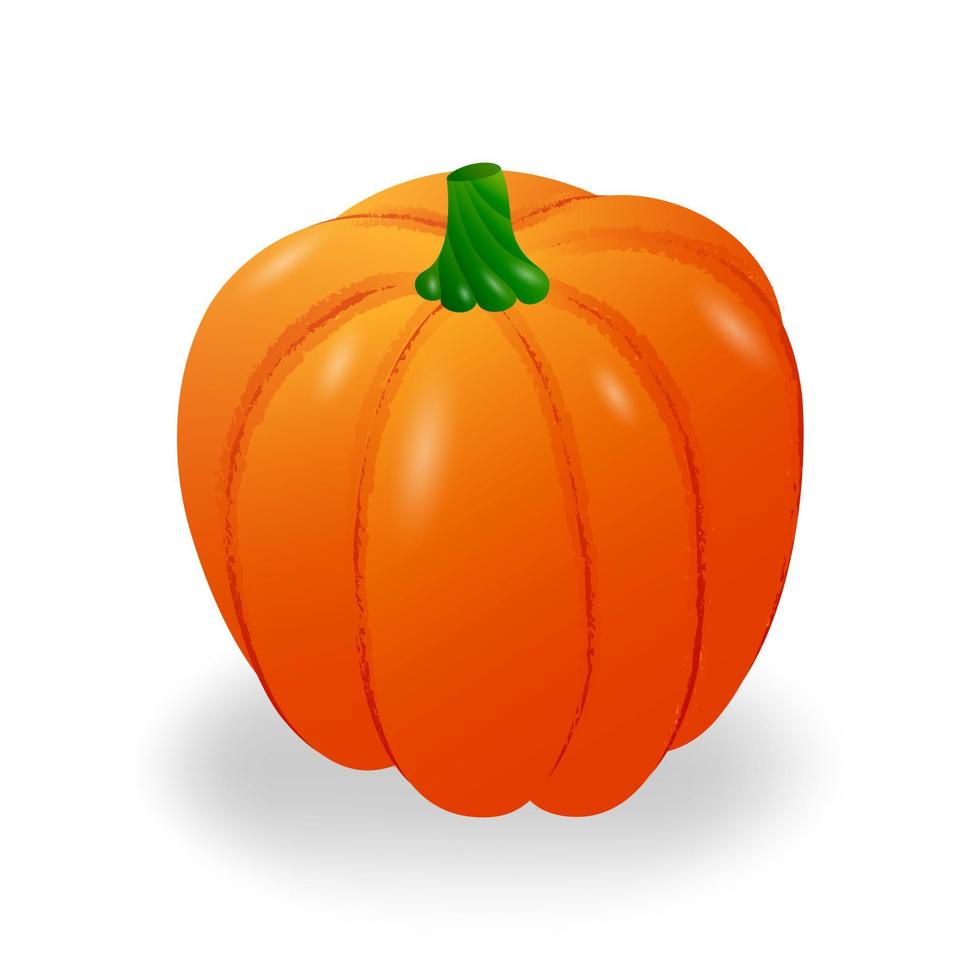 runda orange pumpa. isolerat på en vit bakgrund. vektor illustration.