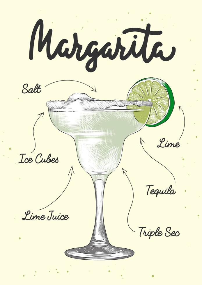 vektor graverat stil margarita alkoholhaltig cocktail illustration för affischer, dekoration, logotyp och skriva ut. hand dragen skiss med text och recept, dryck Ingredienser. detaljerad färgrik teckning.