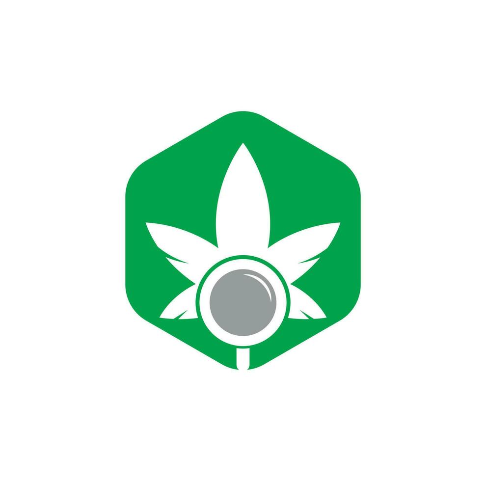 Vektorvorlage für das Design des Cannabis-Suchlogos. kombination aus marihuanablatt und lupenlogo. Hanf und Lupensymbol oder Symbol. vektor