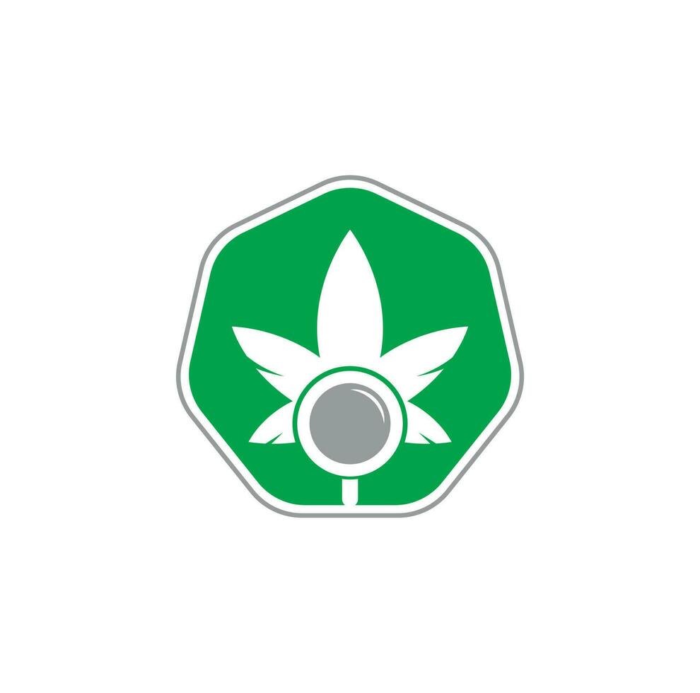 Vektorvorlage für das Design des Cannabis-Suchlogos. kombination aus marihuanablatt und lupenlogo. Hanf und Lupensymbol oder Symbol. vektor