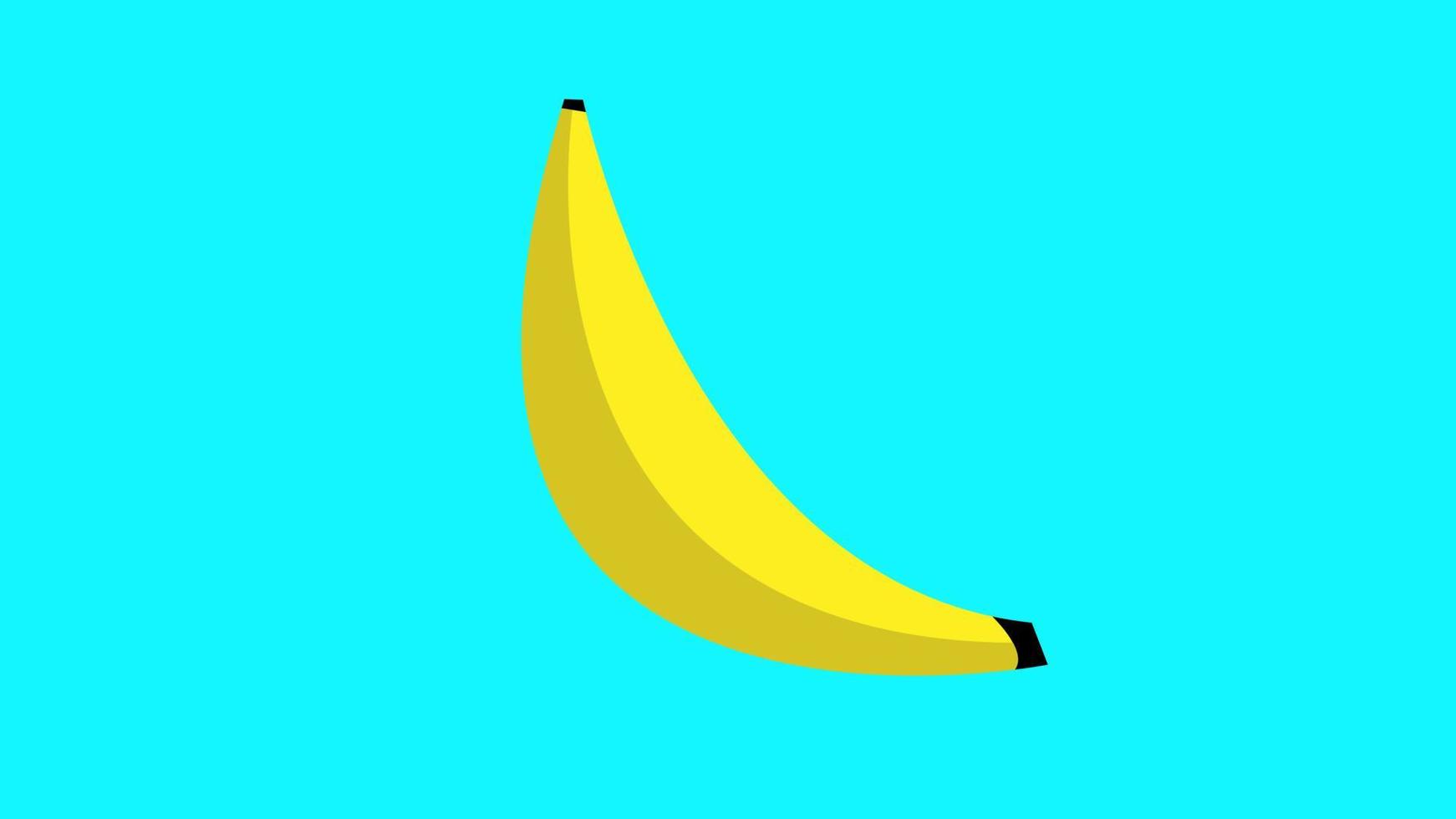 Vektor-Illustration. Gelbe, helle, trendige und stilvolle Banane auf türkisfarbenem Hintergrund. süße bananenillustration in stilvoller farbe vektor