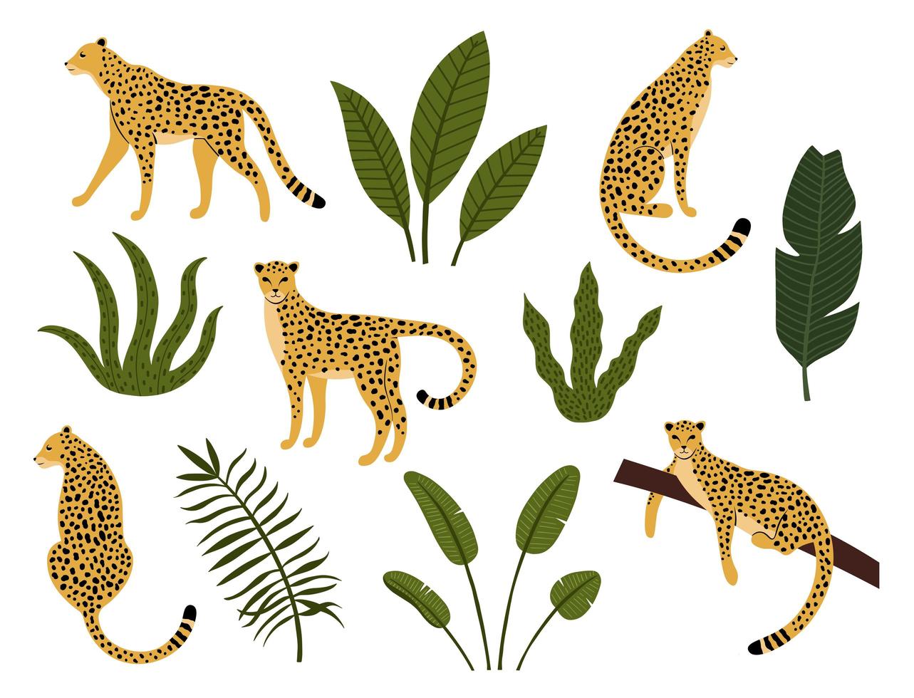 samling av leoparder, exotiska löv, tropiska växter vektor