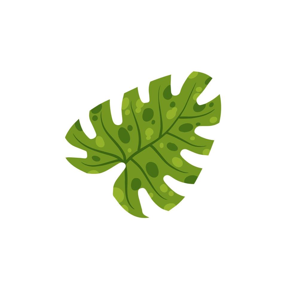 Monsterblatt. grüner Hausplan, tropische Pflanze für grünen Druck. flache karikaturillustration lokalisiert auf weiß vektor