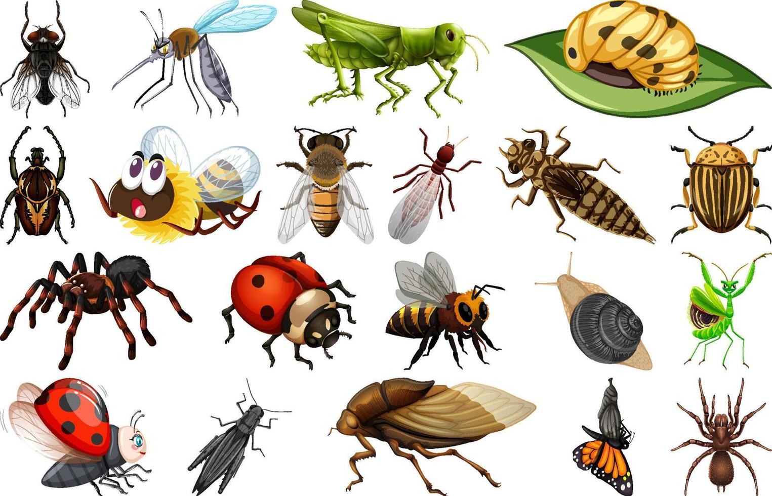 verschiedene arten von insektensammlung vektor