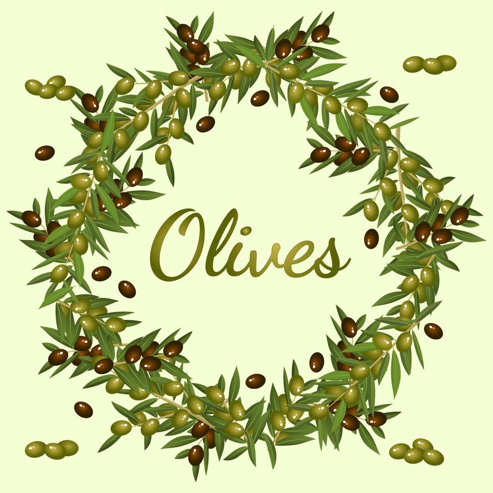ein kranz aus olivenzweigen.realistische zweige und früchte eines olivenbaums gestapelt in einem kranz.grüne und schwarze oliven.flache vektorillustration. vektor