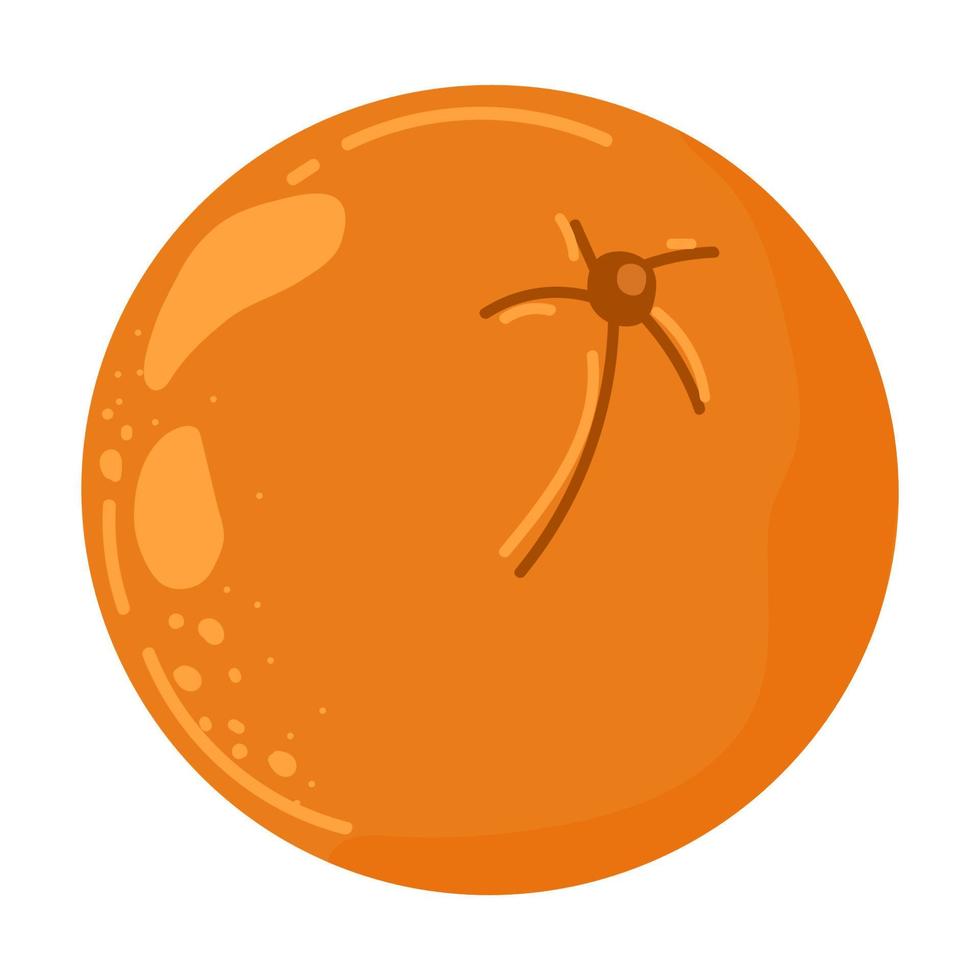 Orangenfrucht isoliert auf weißem Hintergrund. Mandarine. Bio-Obst. Cartoon-Stil. Vektorillustration für jedes Design. vektor