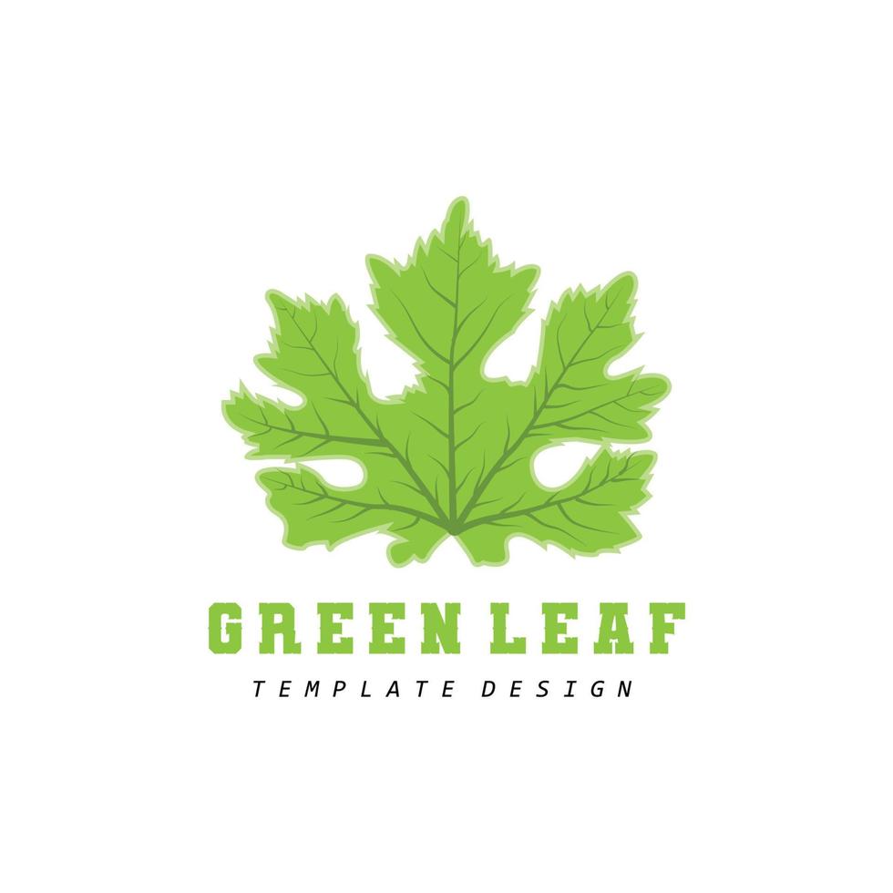 Blatt Logo Grünpflanze Design Blätter von Bäumen Produktmarke Vorlage Illustration vektor