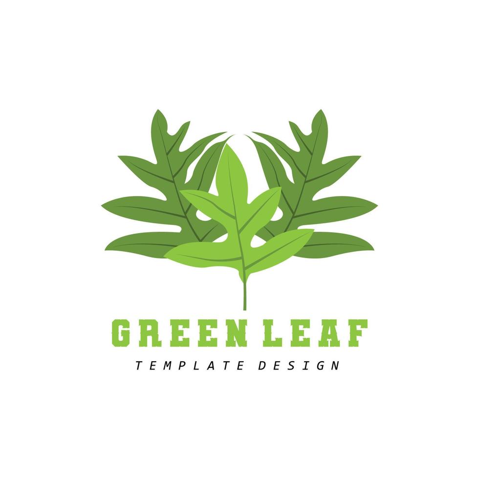 Blatt Logo Grünpflanze Design Blätter von Bäumen Produktmarke Vorlage Illustration vektor