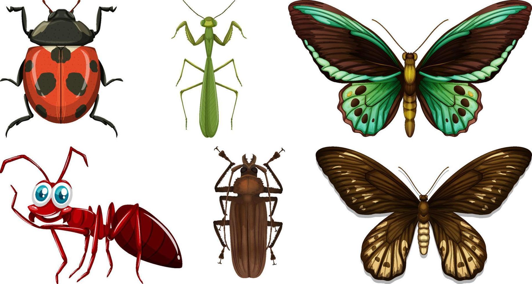 samling av annorlunda insekter vektor
