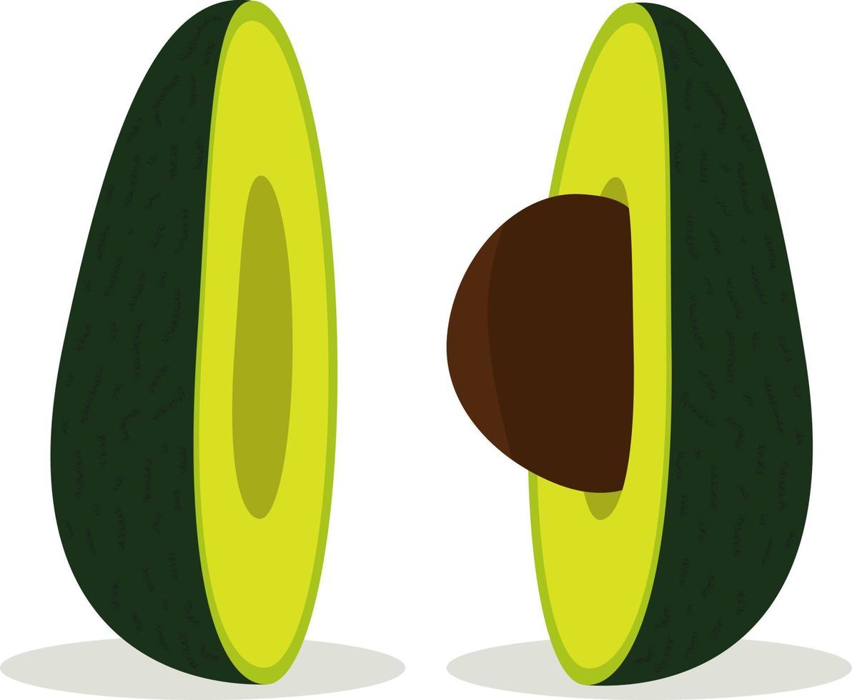 halv ett avokado med en grop. vektor illustration.