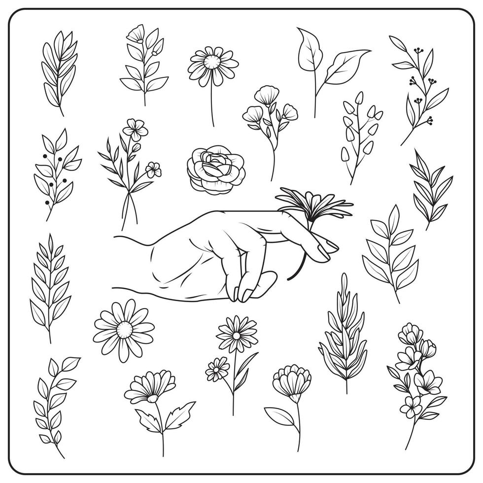 handgezeichnete Blumenkollektion. Vektor-Illustration vektor