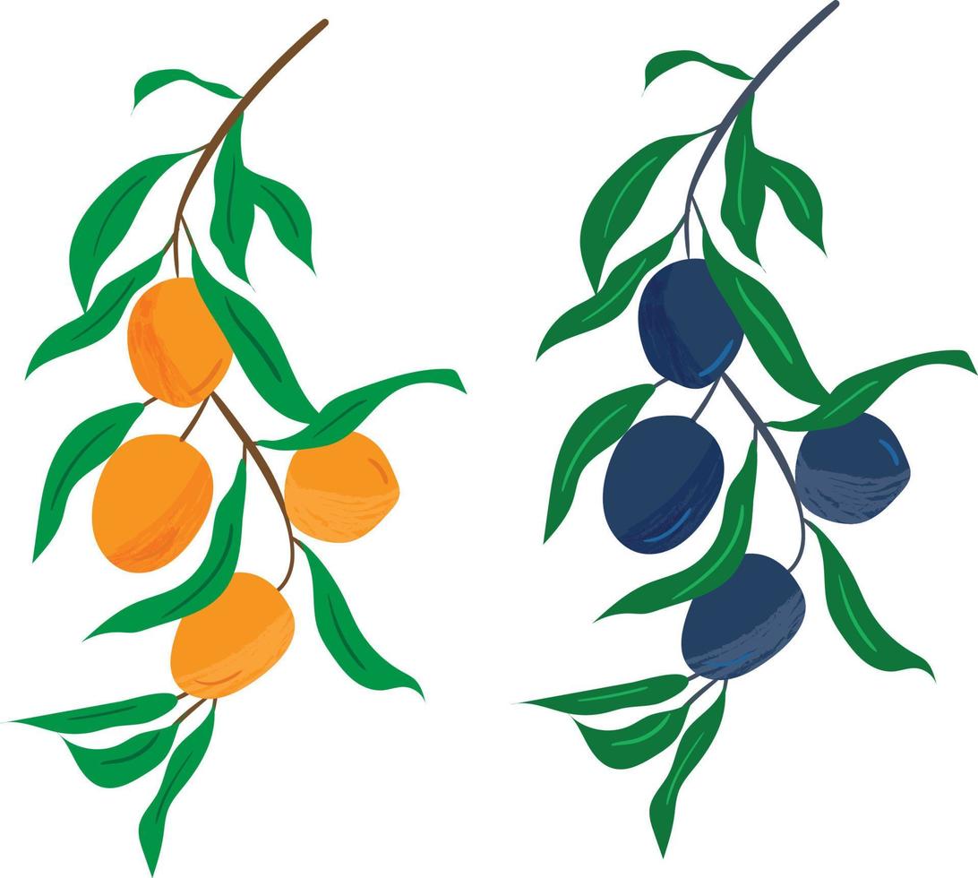 apelsiner gren fri vektor