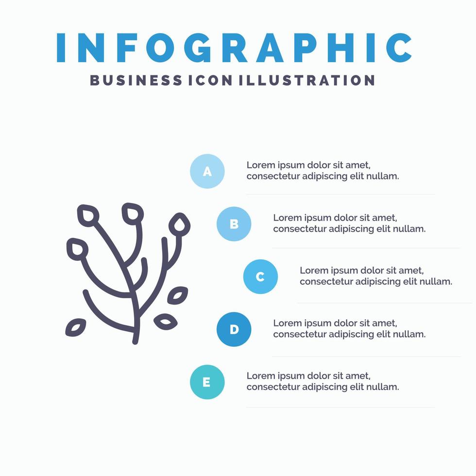 anemon anemon blomma blomma vår blomma linje ikon med 5 steg presentation infographics backgro vektor