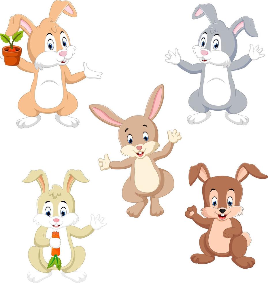 de samling av de kaniner i de annorlunda Färg och Framställ vektor