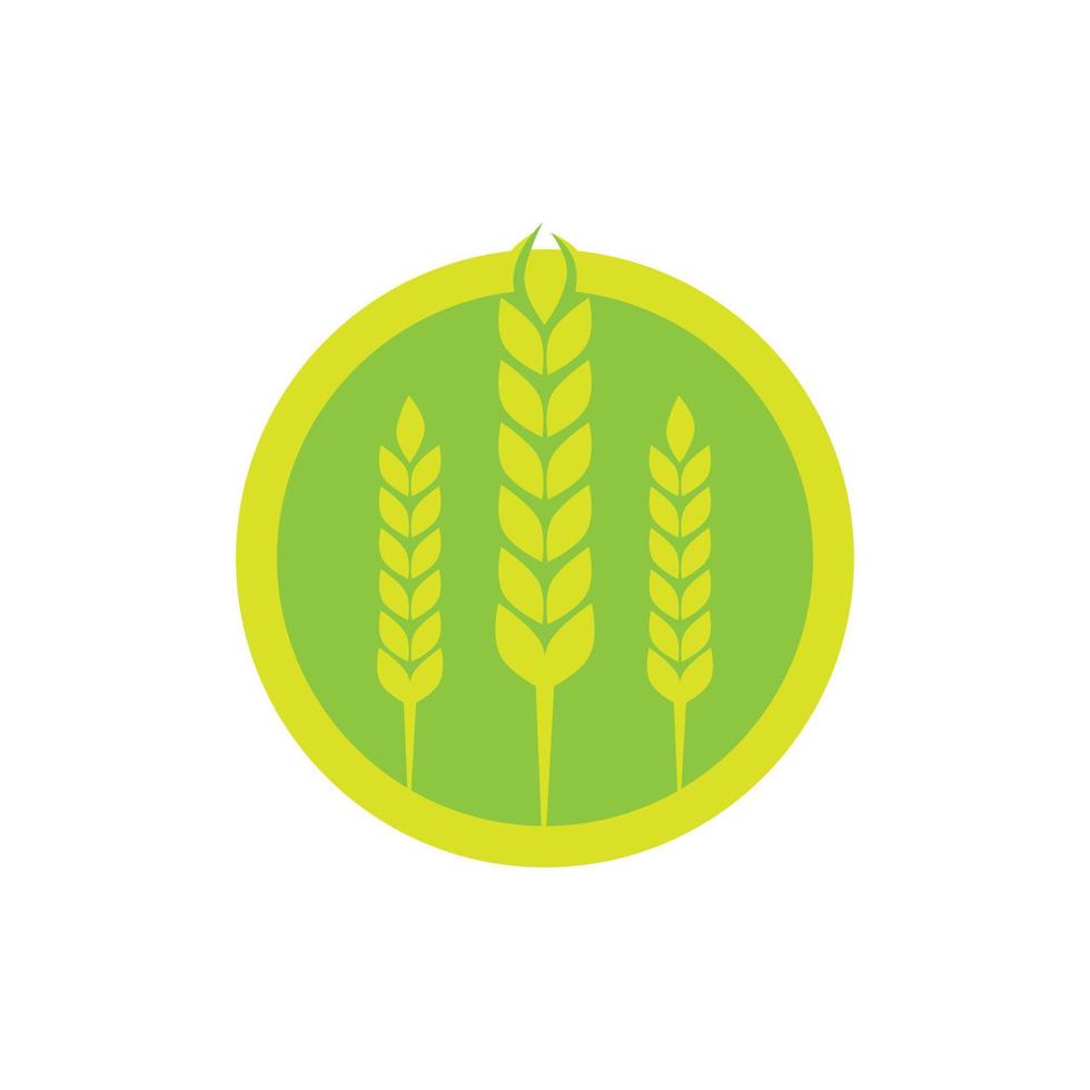 Weizen Landwirtschaft und Landwirtschaft Vektor-Logo-Design vektor