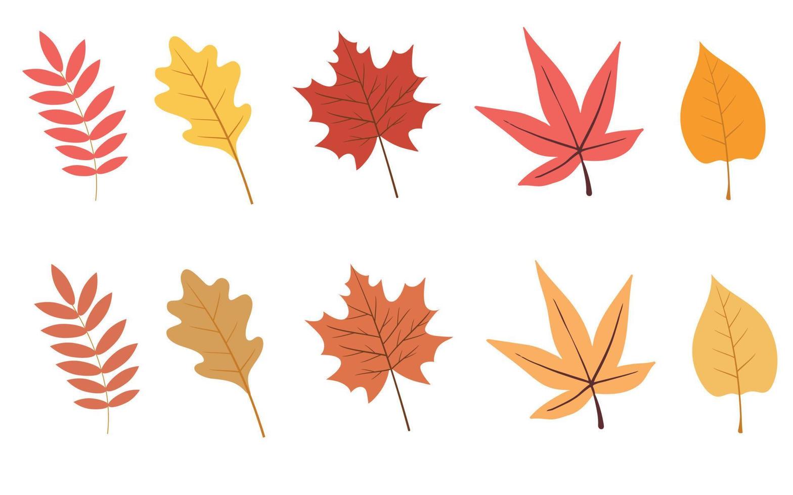 uppsättning av färgrik höst löv. vektor illustration isolerat på vit bakgrund