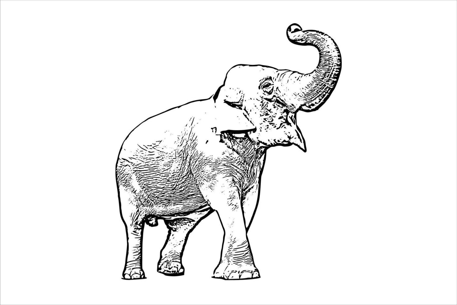 elefant vektor svart på vit bakgrund