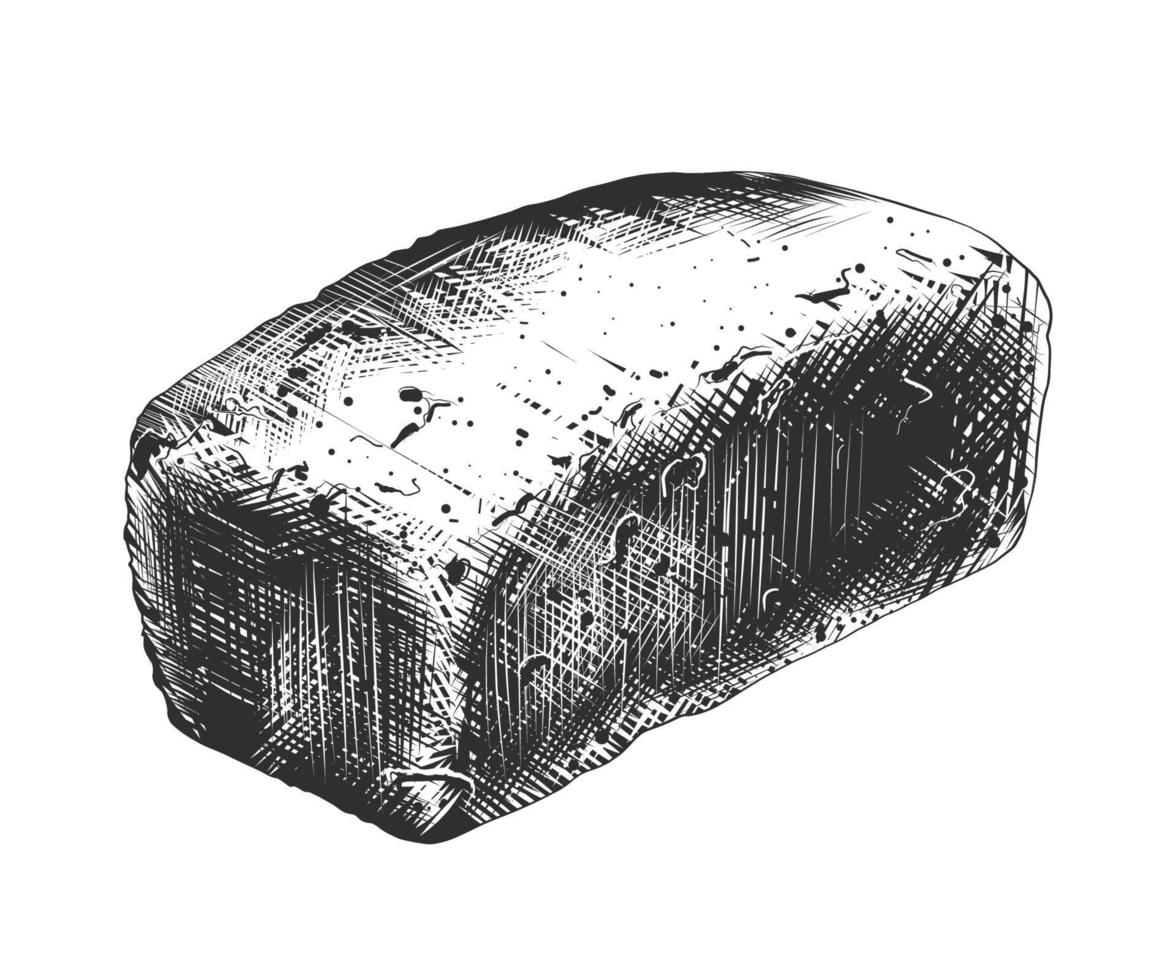 vektorgravierte Illustration für Poster, Dekoration und Druck. hand gezeichnete skizze von weizenbrot in monochrom isoliert auf weißem hintergrund. detaillierte Zeichnung im Vintage-Holzschnitt-Stil. vektor