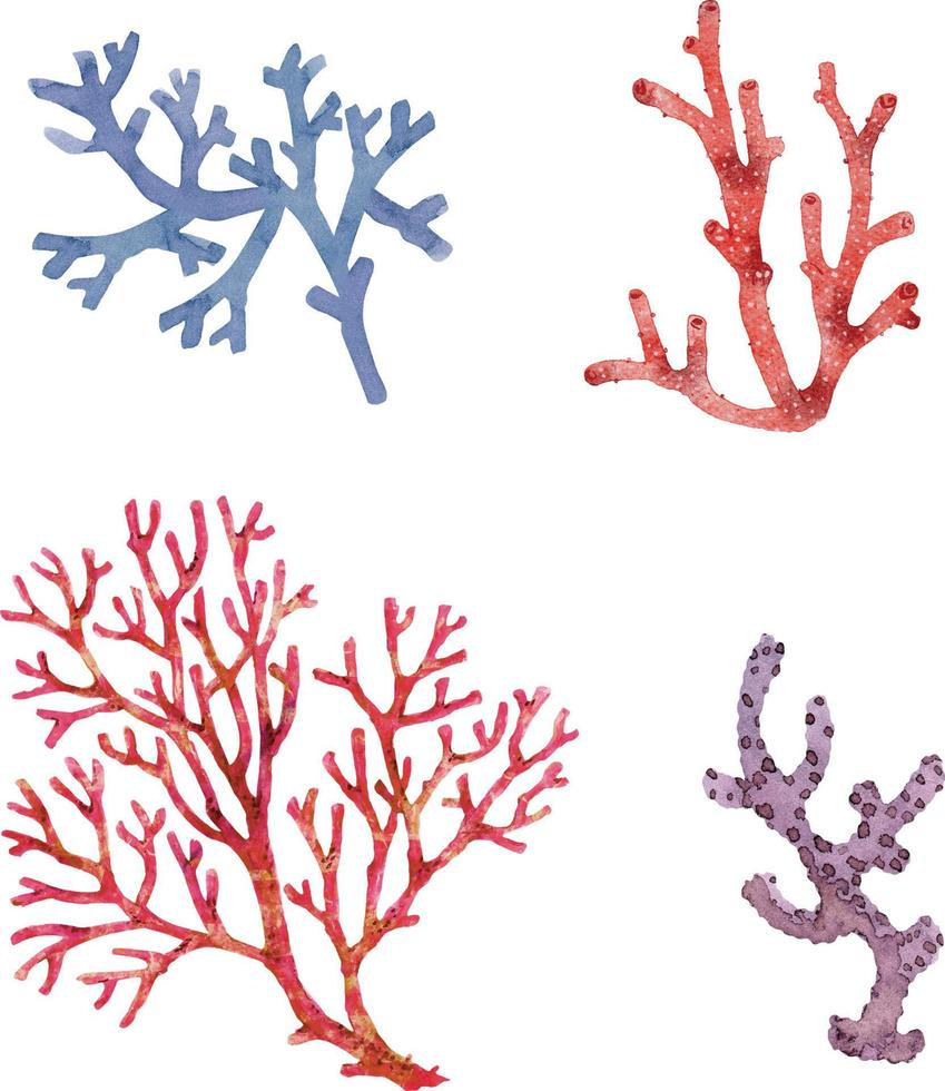 en uppsättning av koraller på en vit bakgrund, blå och röd vattenfärg illustration. vektor