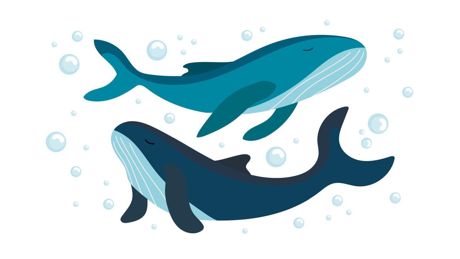 platt uppsättning av blå val på vit bakgrund. marin liv. vektor illustration med söt bubblor och valar under vattnet.