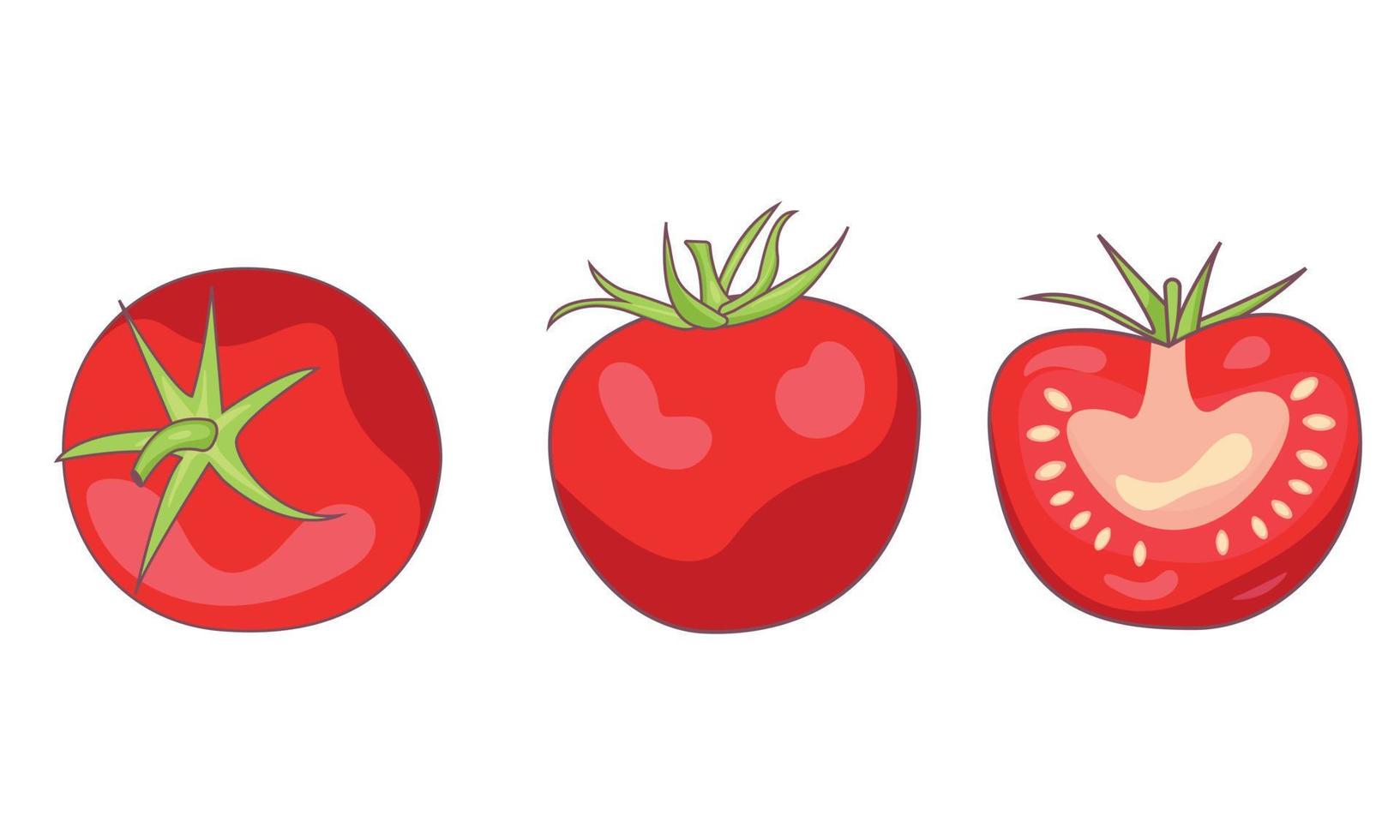 en uppsättning av annorlunda tomat halvor dragen vektor