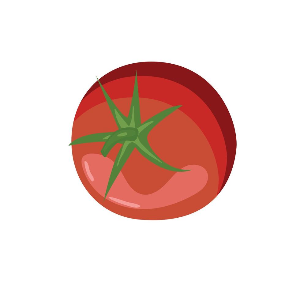 ein Tomatenrot gezeichneter Vektor