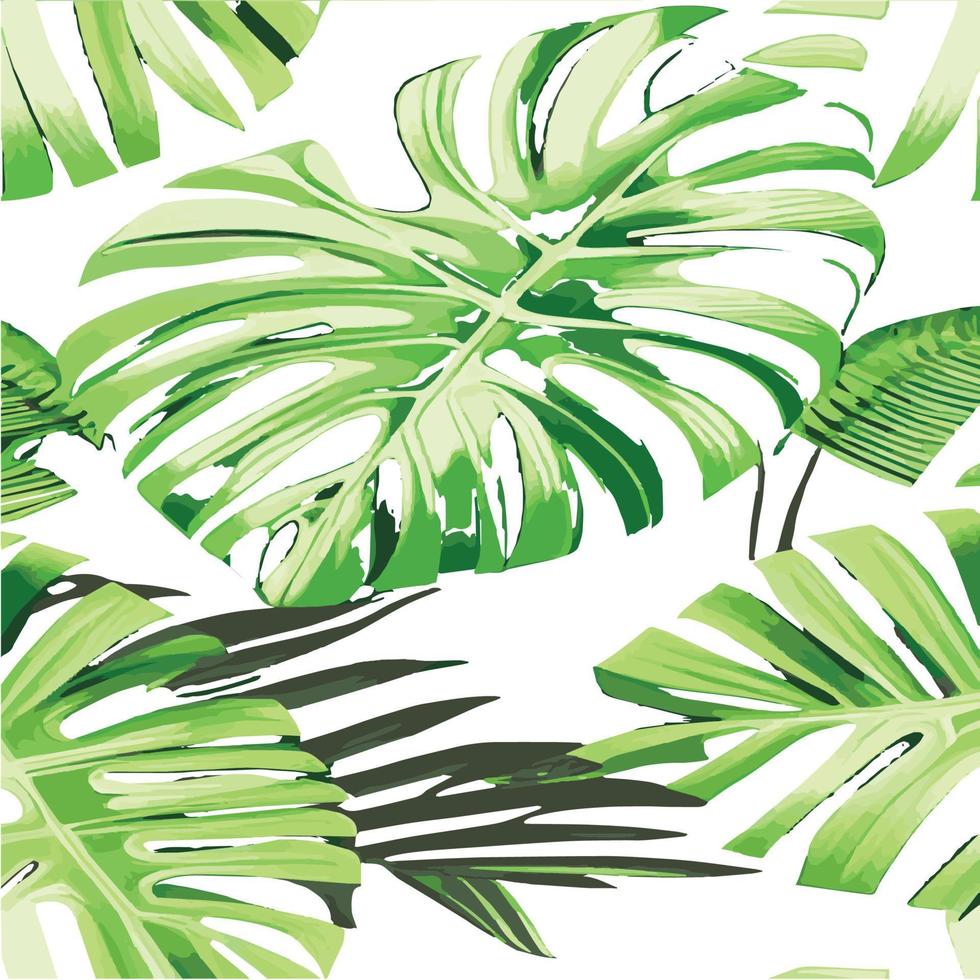 grön monstera mönster vit bakgrund. exotisk mönster med tropisk löv. vektor illustration. monstera blad mönster. tropisk handflatan löv. exotisk design tyg, textil- skriva ut, omslag papper