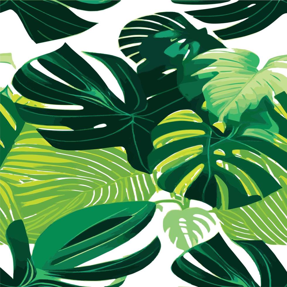 grön monstera mönster vit bakgrund. exotisk mönster med tropisk löv. vektor illustration. monstera blad mönster. tropisk handflatan löv. exotisk design tyg, textil- skriva ut, omslag papper