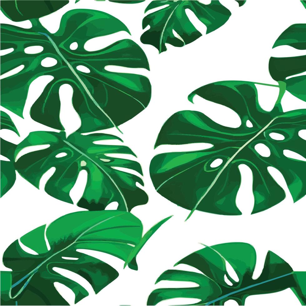 grön monstera mönster vit bakgrund. exotisk mönster med tropisk löv. vektor illustration. monstera blad mönster. tropisk handflatan löv. exotisk design tyg, textil- skriva ut, omslag papper