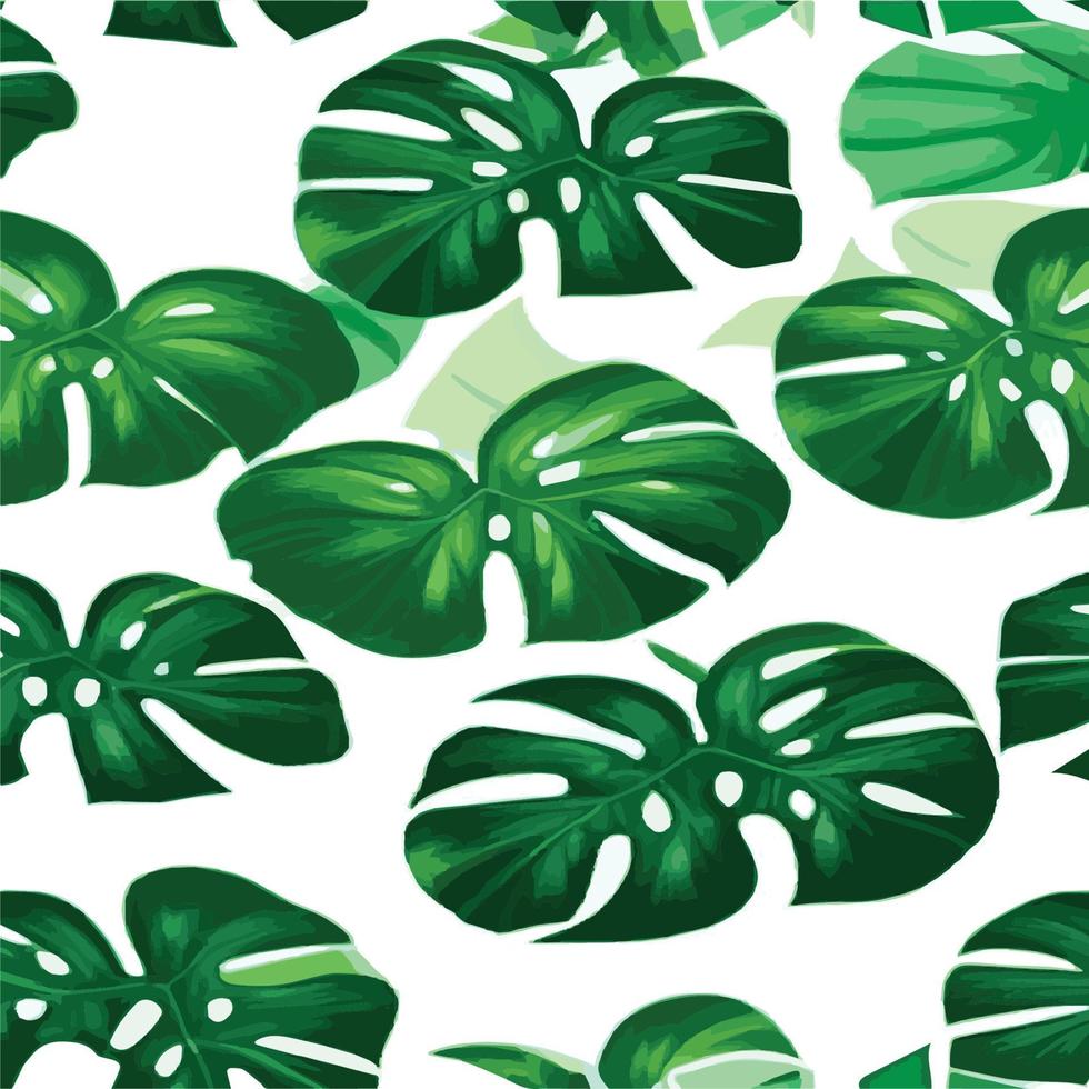 grüner Monstera-Muster weißer Hintergrund. exotisches Muster mit tropischen Blättern. Vektor-Illustration. Monstera-Blattmuster. tropische Palmenblätter. Exotischer Designstoff, Textildruck, Geschenkpapier vektor