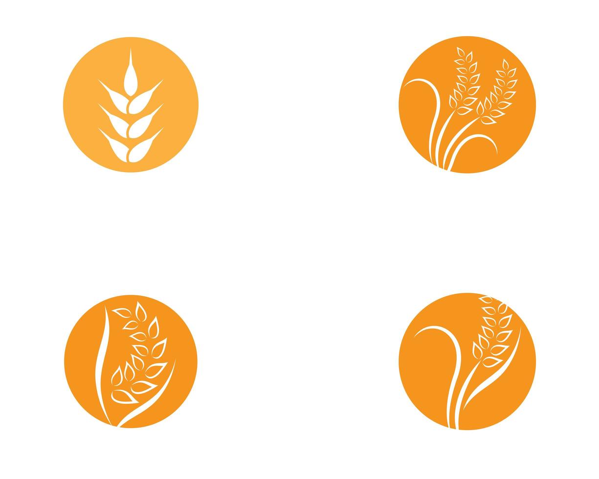 Weizen rundes Logo Design Set vektor